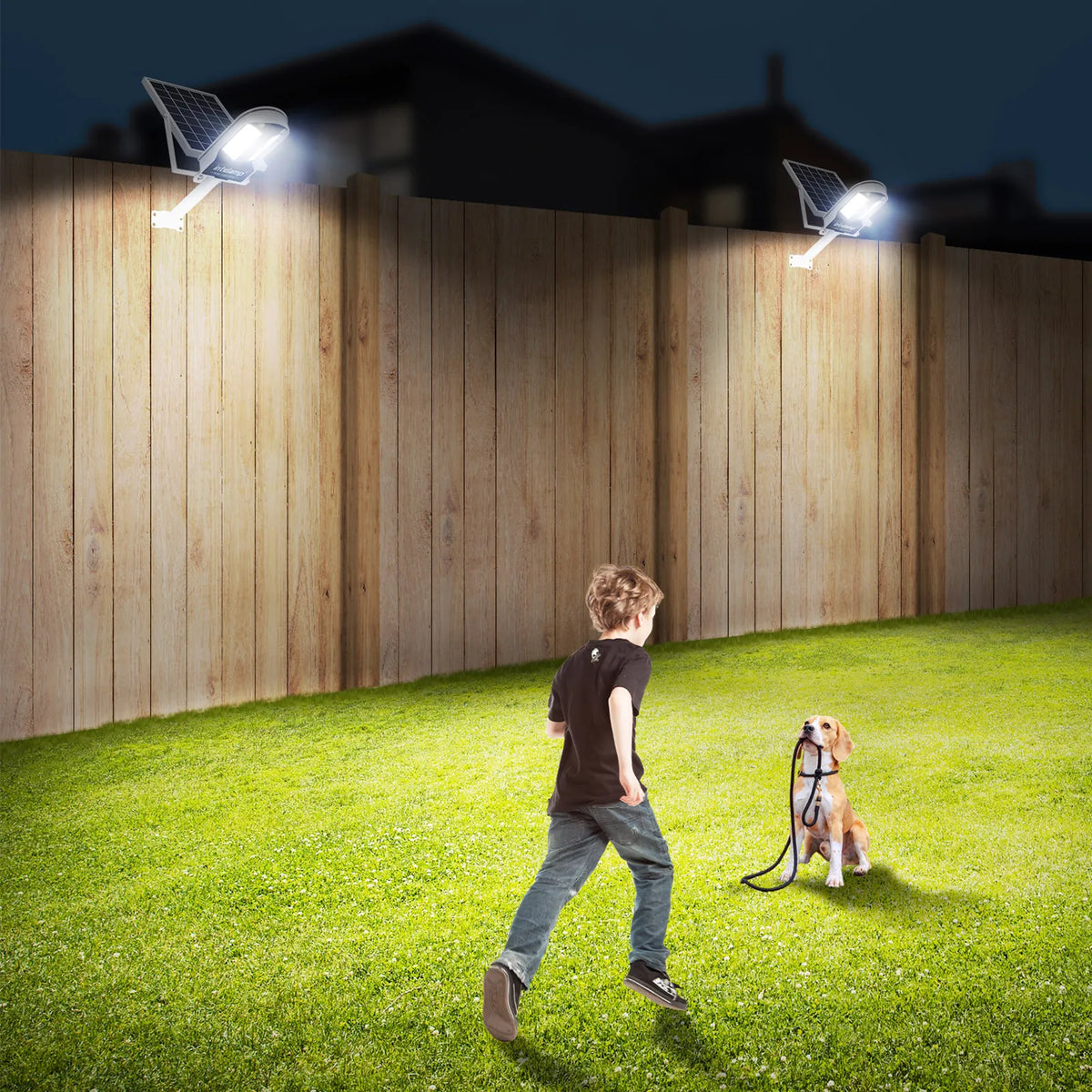 Intelamp Solar Motion Sensor Street Light for Outdoor Security