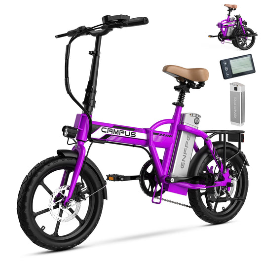 Folding Electric Bike 1000W Peak Motor Dual Disc Brakes